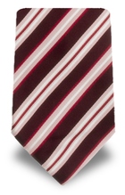 Ermenegildo Zegna EZ 0237C Ties