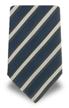 Ermenegildo Zegna EZ 0248C Ties