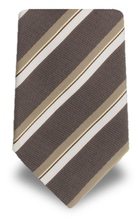 Ermenegildo Zegna EZ 0255C