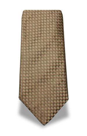 Ties
Celine first view Ties
Celine first view