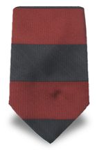 Gianfranco Ferrè GF 0164C Ties