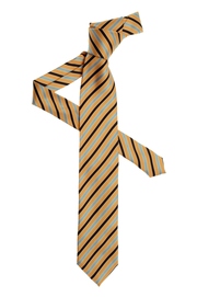 Ties 
	
	Moschino second view