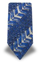 Roberto Cavalli RC 0049C Ties